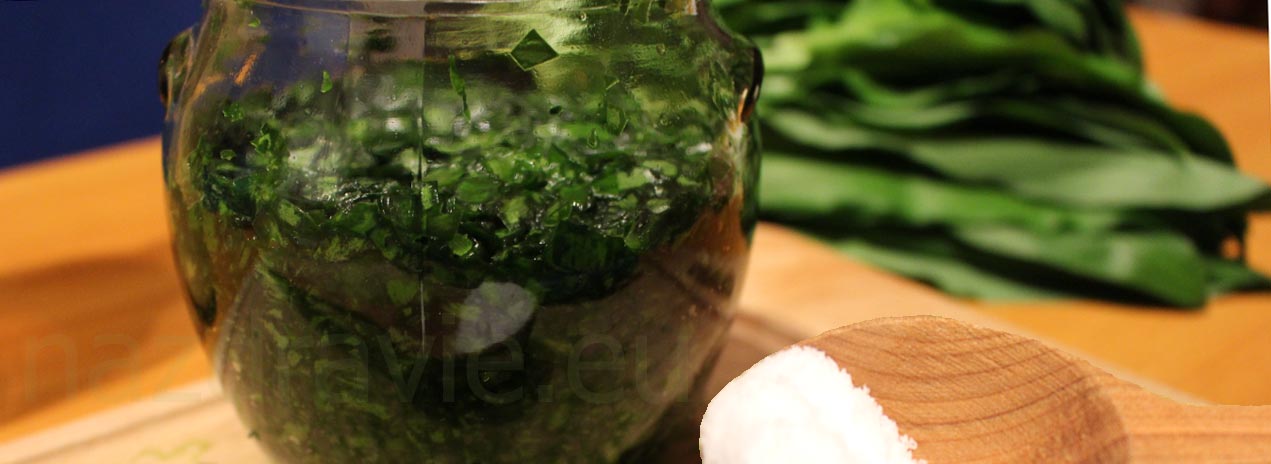 Pesto medved cesnak