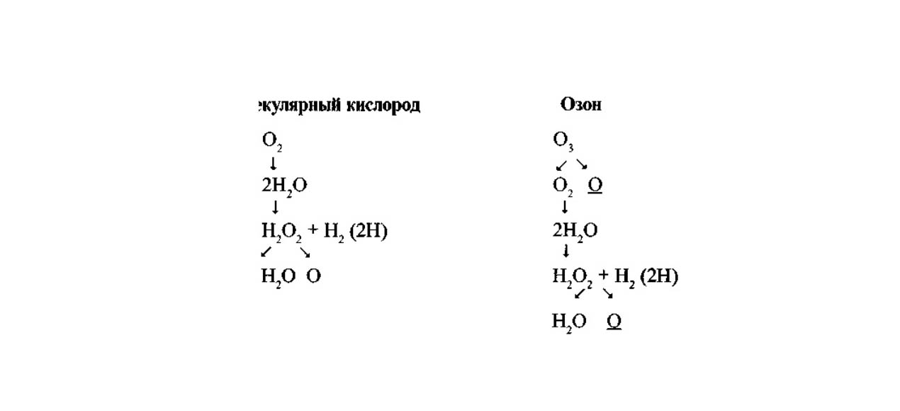 kyslk a ozn