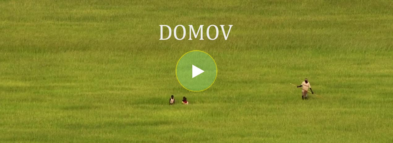 Film Domov