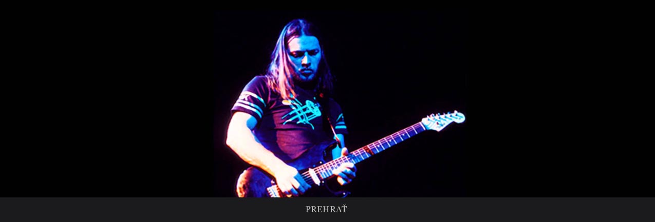 David Gilmour
