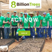 8billiontrees