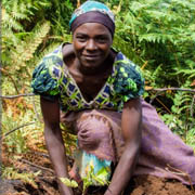 Reforest Action