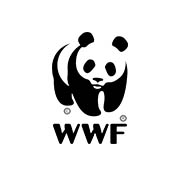 Forest Solutions