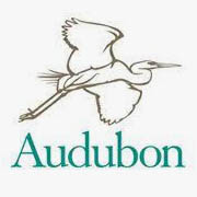 audubon