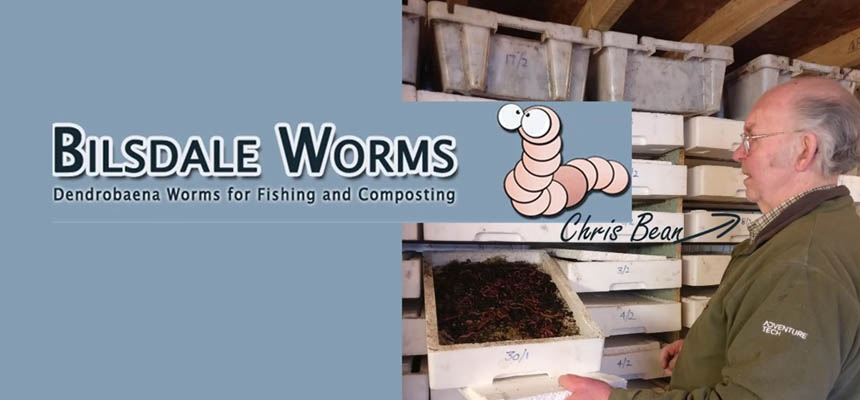 Worm Breeding Step by Step
