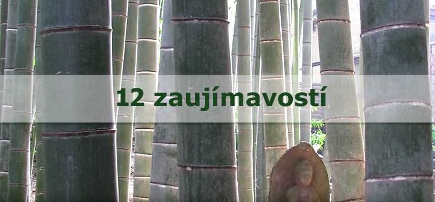 20 zaujmavch faktov