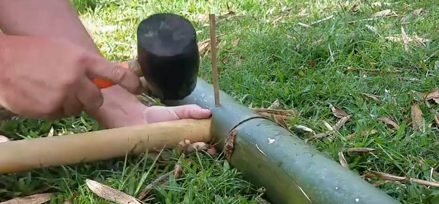 Bamboo 