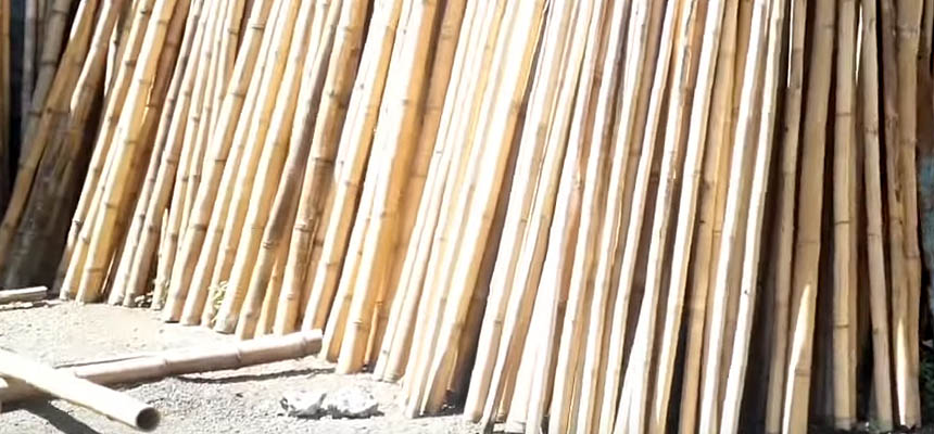 Bamboo treatment