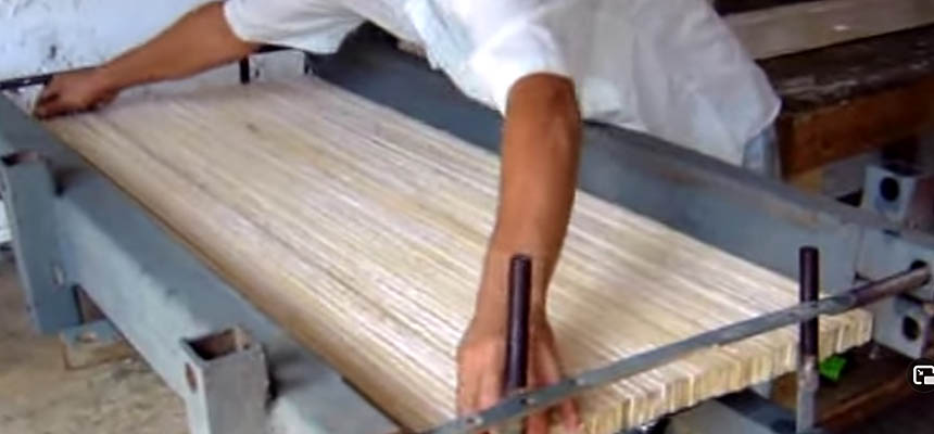 Bamboo 