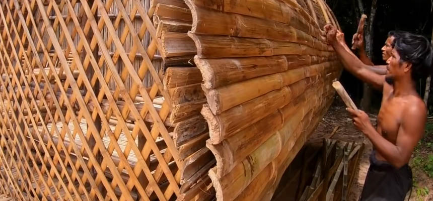 Bamboo