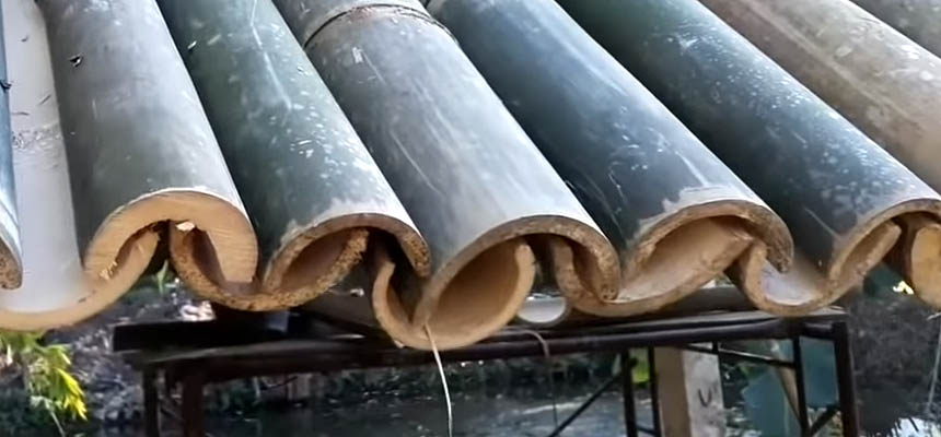 Bamboo treatment