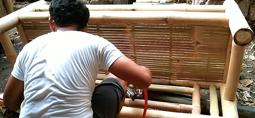Bamboo 