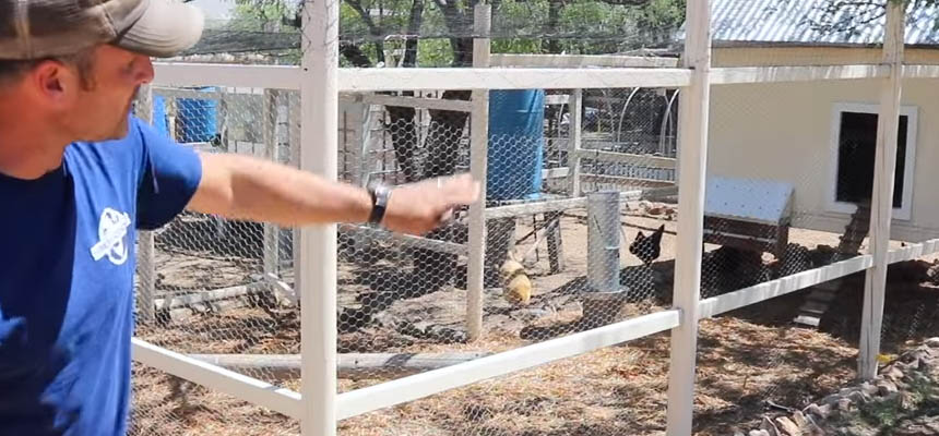 Chicken Coop