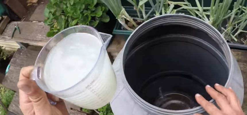 soil bacteria for veggie garden